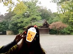 -矢场猪(名古屋站三井楼北馆店)