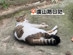 -虞山风景区