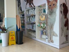 -瑞派申生动物医院·24H夜诊·国际动物医疗中心·骨外科(吴中路店)