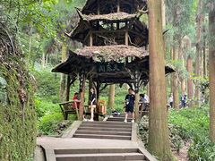 -青城山