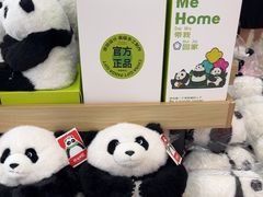 -熊猫邮局(少城店)