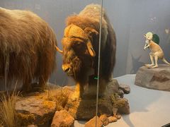 -长江文明馆