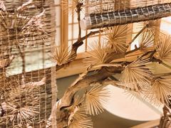 -紫· 割烹  Kappo Murasaki