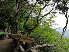 -天燕原始生态旅游区-天门垭景区