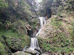 -石台牯牛降景区