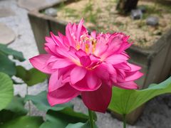 -杭州上天竺法喜讲寺