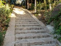 -泰州凤城河风景区-泰山公园