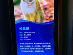 -波塞冬旅游度假区