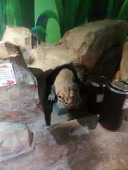 -酷嗒动物文化乐园(cutezoo西溪乐天城店)