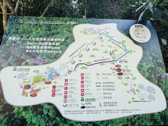 -野象谷景区
