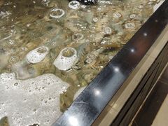 -亚马逊海鲜自助(梅溪湖步步高店)