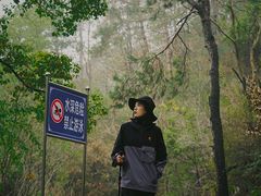 -青龙山国家森林公园