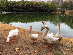 -河南省黄河迎宾馆