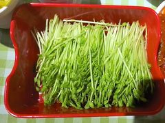 -番食园鲜食火锅(高新店)