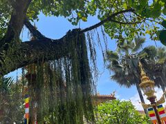 -西双版纳总佛寺