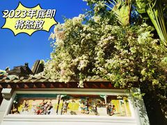 -深圳国际园林花卉博览园