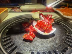 -猫爪爪原切自助烤肉(观音桥阳光世纪店)