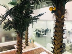-上海宝宁宝马4S店