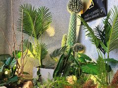 -HUG·拥抱咖啡(郑州宝龙广场店)