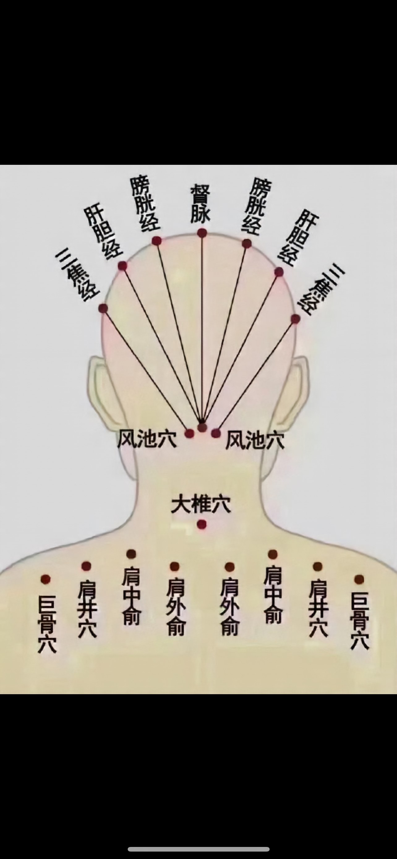 头部四条经络图片图片