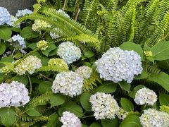 -西湖风景区-江洋畈生态公园