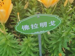 -长春公园(普阳街道)