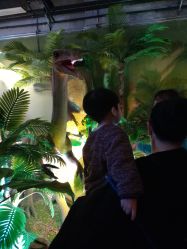 -恐龙探索乐园(磁器口店)