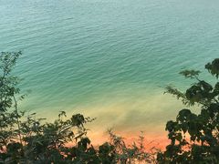 -广州市流溪河国家森林公园