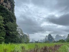 -明仕田园
