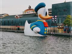 -迪士尼小镇
