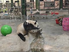 -栾川竹海野生动物园