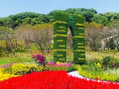 -苏州上方山国家森林公园