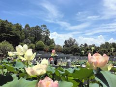 -广州莲花山旅游区