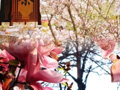-潭柘寺景区