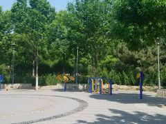 -大兴滨河森林公园