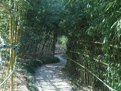 -竹子庵公园