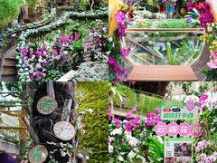 -正佳雨林生态植物园