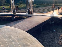 -风云岭森林公园