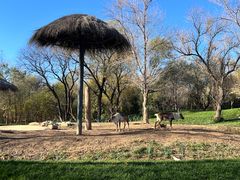 -北京野生动物园