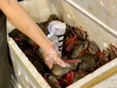 -瑞丽活螃蟹(芒市店)