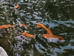 -北海公园