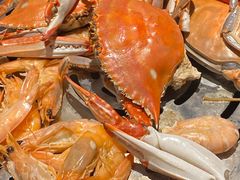 -半岛听涛蒸汽海鲜自助(K11店)
