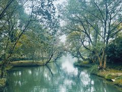 -西溪国家湿地公园