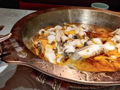 -雲蜀龙阁·金牌水煮鱼(方庄店)