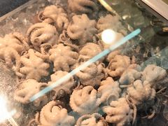 -铭聚章鱼土笋冻(松柏店)