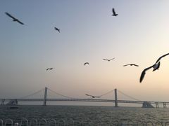 -星海湾跨海大桥