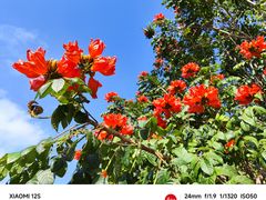 -亚龙湾国际玫瑰谷