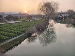 -乌村