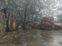 -铁山坪森林公园