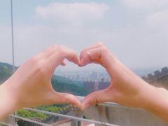 -华西村